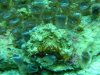 DSCN0534.jpg