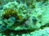 DSCN0535.jpg