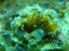 DSCN0536.jpg
