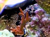IMG_1182.JPG