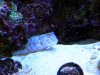 IMG_1187.JPG