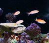 IMG_1194.JPG