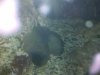 2011-02-05_05-37-31_397.jpg