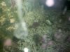 2011-02-07_08-46-37_870.jpg