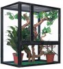 tree-frog-habitat-l2.jpg