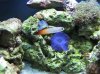 aqua test 088.jpg