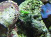 aqua test 089.jpg