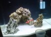 IMG00076-20110213-1002.jpg