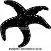 starfish_~BWBW0092.jpg
