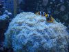 aquarium2.jpg