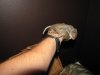 IMG_1320.JPG