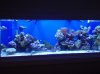 full tank no lights.jpg