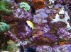 IMG_1355.jpg