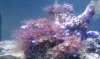 IMAG0034.jpg