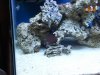 2011-03-26_18.53.18.jpg