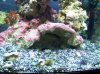 100_2554.jpg