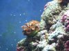 100_2555.jpg