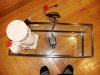 skimmer in sump 2.jpg
