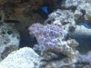 2011-04-02_18.55.46.jpg