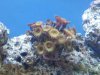 2011-04-02_18.55.59.jpg