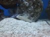 2011-04-02_19.30.42.jpg