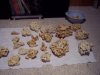 100_1641.JPG
