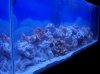 100_1658.jpg