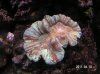 PICT0103.jpg