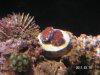 PICT0021.JPG