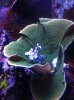 ImageUploadedByTapatalk1302761704.944239.jpg