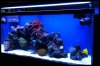 tank2.3.jpg