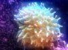 ImageUploadedByTapatalk1302920522.201602.jpg