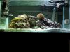 FTS Reduced 02.14.11.jpg