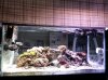 FTS.jpg