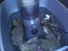 d925b4f296ea__1303961777000.jpeg