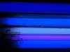 ImageUploadedByTapatalk1304105785.514036.jpg