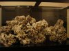 DSC06652.jpg