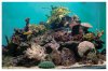 FTS1.jpg