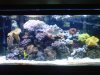 IMG00163-20110504-2037.jpg