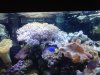 IMG00164-20110504-2037.jpg