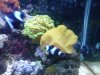IMG00166-20110504-2037.jpg