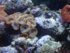 IMG00168-20110505-2052.jpg
