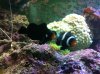 photo (10).jpg