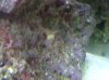 IMG00190-20110508-1926.jpg