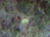 IMG00189-20110508-1926.jpg