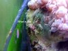 DSCF4804-1.jpg