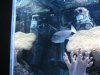Tank 2 013.JPG