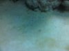 brown sand.JPG