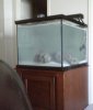 90 gallon - going to be a reef.jpg