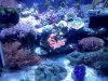 uploadfromtaptalk1306406868475.jpg
